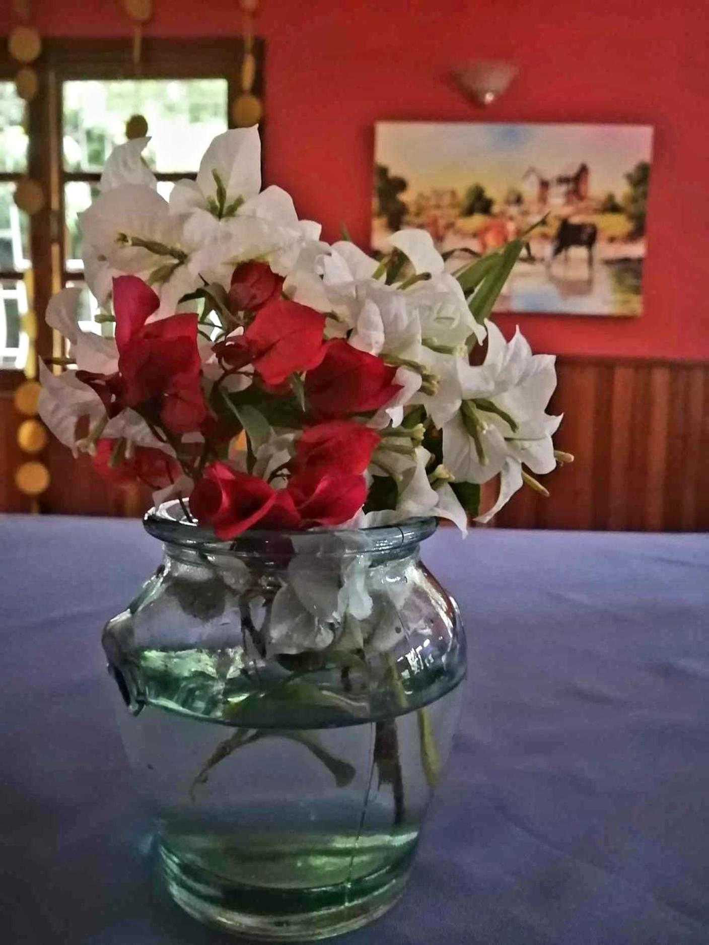 L'Anis Etoile - Hotel Restaurant Antsirabe Dış mekan fotoğraf